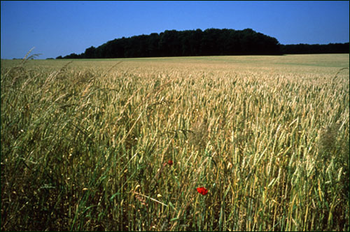 Loire Valley, France
